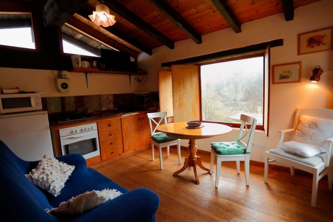 La Cabana Del Moli De La Plana Riudaura 외부 사진