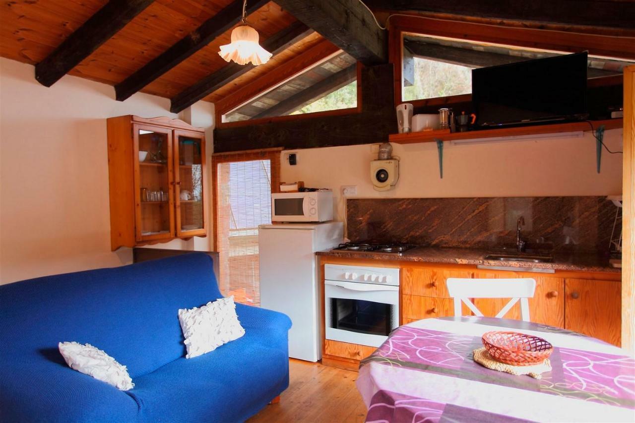 La Cabana Del Moli De La Plana Riudaura 외부 사진