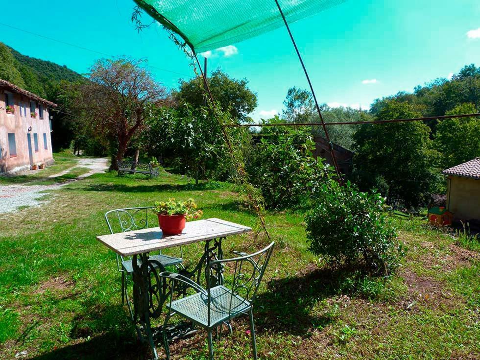 La Cabana Del Moli De La Plana Riudaura 외부 사진