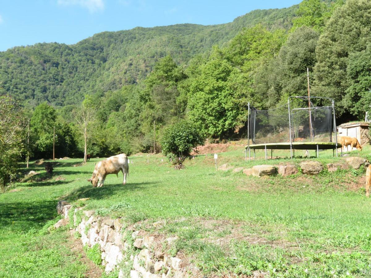 La Cabana Del Moli De La Plana Riudaura 외부 사진